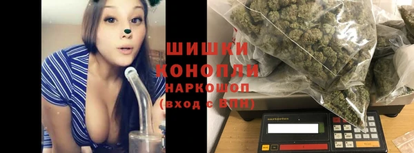 соль ск Гусев