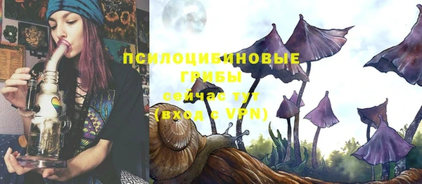 скорость Гусиноозёрск