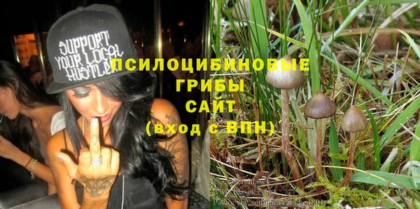 соль ск Гусев