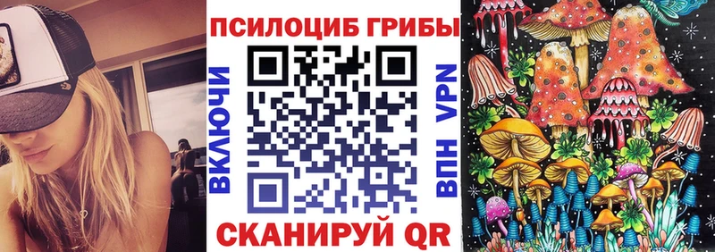 Псилоцибиновые грибы мицелий  Купить где  Зеленогорск 